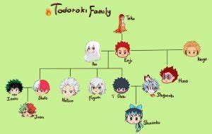 Comparativa de edad de los hermanos Todoroki