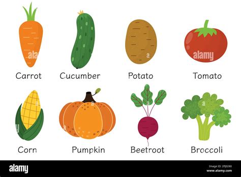 Ilustración de varios personajes Saiyajin con sus nombres y orígenes vegetales