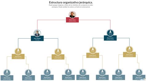 Estructura jerárquica del Gotei 13
