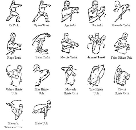 Diagrama de las diferentes posiciones y tipos de golpes de puño en Karate.
