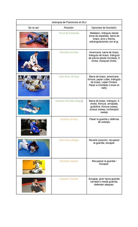 Infografía de las posiciones básicas en Jiu Jitsu Brasileño: Montada, Guardia Cerrada, Guardia Mariposa.