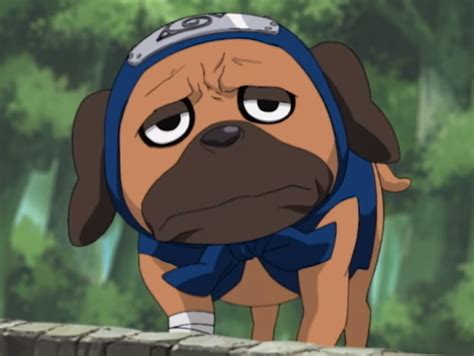 Detalle del cosplay de Pakkun