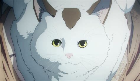 Imagen de Nyako (Meowy)