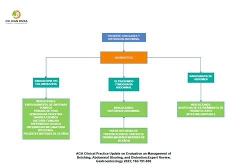 Mapa conceptual que muestra la progresión de la obsesión de Sasuke: observación, intento de acercamiento, frustración, investigación, presentación.