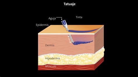 Diagrama de las modificaciones corporales de Nemu Kurotsuchi