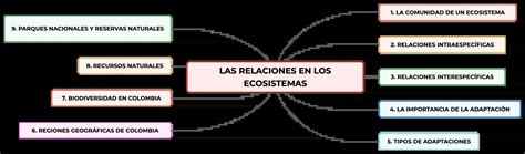 Mapa conceptual de las relaciones entre los dioses en Lore Olympus