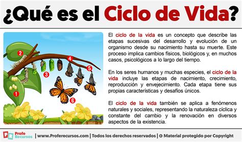 Representación del ciclo de la vida en Naruto