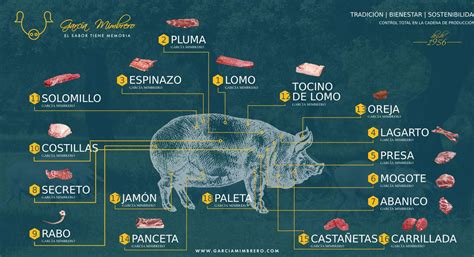 Proceso de despiece de un cerdo