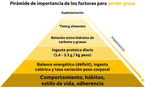 Pirámide de macronutrientes para ganancia muscular
