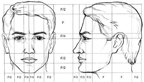 Diagrama de proporciones faciales para personajes de manga