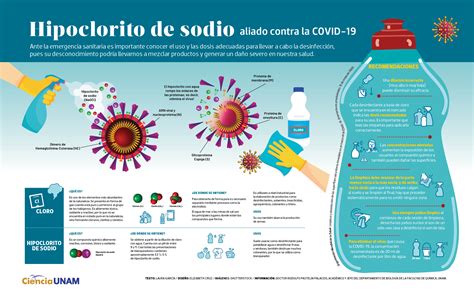 Infografía sobre la eficacia del cloro como desinfectante