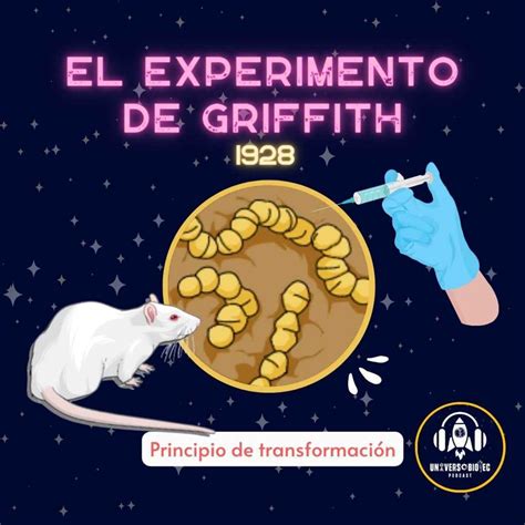 El Eclipse y la transformación de Griffith