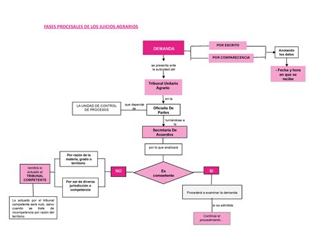 Diagrama de flujo de las diferentes enfermedades en One Piece