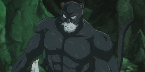 Gajeel Redfox contra Panther Lily
