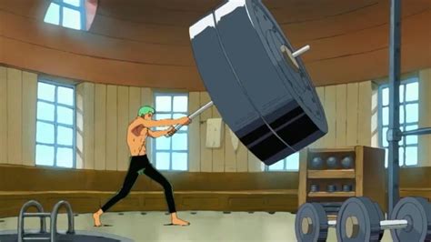 Zoro entrenando intensamente