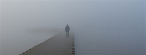 Ilustración de un burrito caminando en la niebla y encontrándose con figuras extrañas.