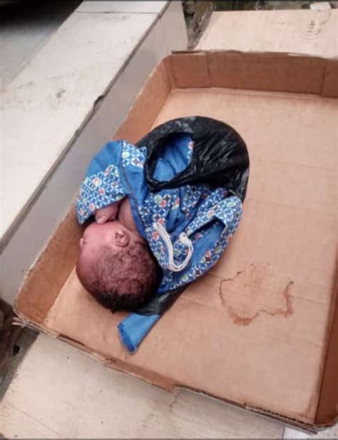 Bebé abandonado en la puerta de una mansión