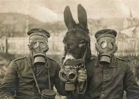 Comparación visual de Kakuzu antes y durante la Cuarta Guerra Mundial Shinobi.