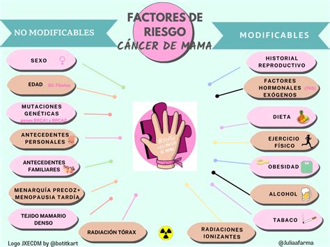 Anatomía de la mama y factores de riesgo del cáncer de mama
