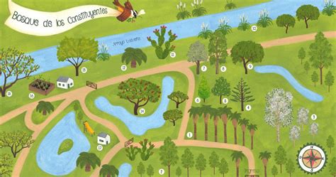 Mapa de un bosque con un camino secreto marcado