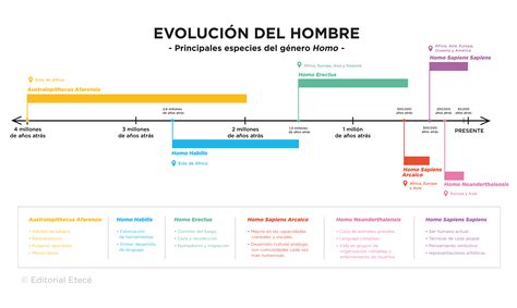 Diagrama de la evolución de las obras de Harada por temática