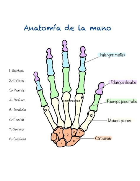 Ilustración de los miembros de la Mano de Dios