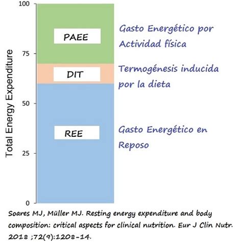 Esquema de gasto energético de un Saiyajin