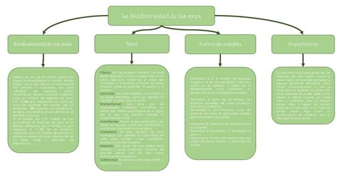 Mapa conceptual de las facciones y localizaciones clave en el arco de Dressrosa y Zou