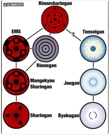 Comparativa visual de los principales Dōjutsu: Sharingan, Byakugan, Rinnegan, Tenseigan, Jōgan