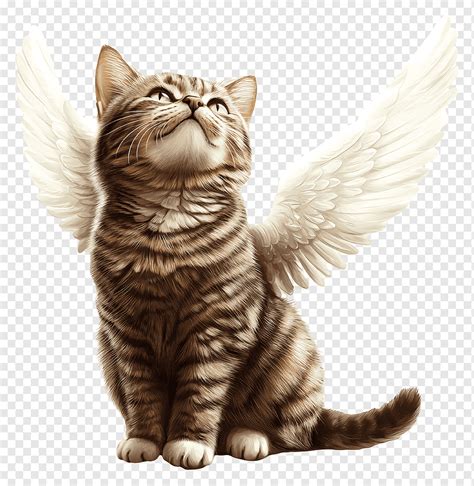 Happy, el gato alado, en la cabeza de Natsu
