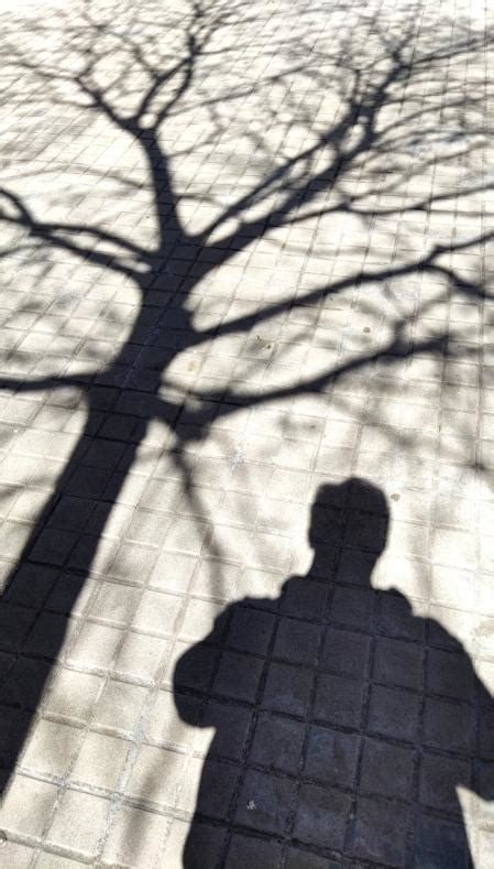 Imagen que representa un ambiente de misterio, quizás con siluetas o sombras.