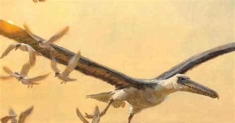 Aves gigantes del Reino Torino