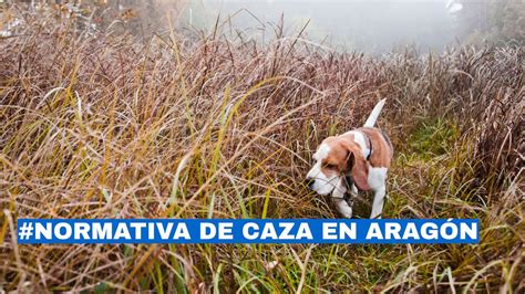 Ilustración conceptual de un festival de caza en un mundo de cambiaformas