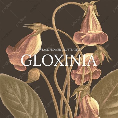 Ilustración de Gloxinia con sus alas de mariposa y Basquias en forma de pulpo