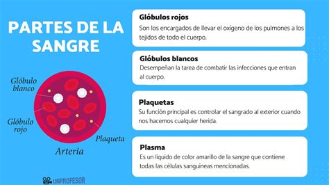 Diagrama de las líneas de sangre de los titanes