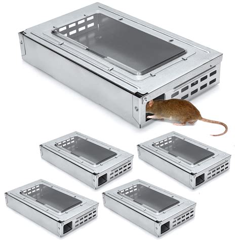 Diferentes tipos de trampas para ratones