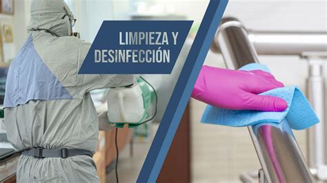 Limpieza y desinfección de zonas afectadas por roedores