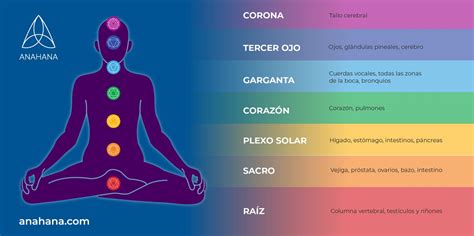 Comparación de control de chakra entre usuarios