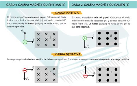 Instalación experimental utilizada para estudiar la influencia de un campo magnético estático en el crecimiento de cristales de azúcar.