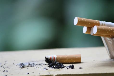 Primer plano de un cigarrillo falso, accesorio común en cosplays de Sanji