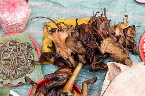 Fotografía de un plato de comida exótica