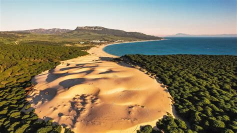 Proyecto de fijación de dunas en Valdevaqueros, Tarifa