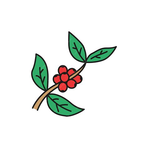 Ilustración de la Fruta Bisu Bisu