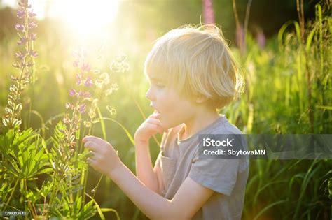 Laxus de niño admirando a Makarov