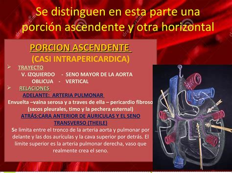 Representación del Cayado Berserker