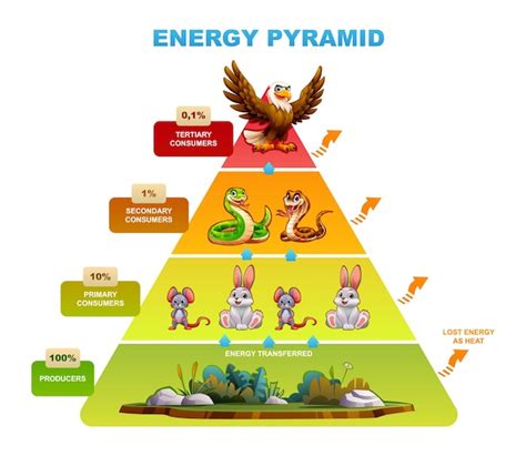 Representación de la transferencia de chakra