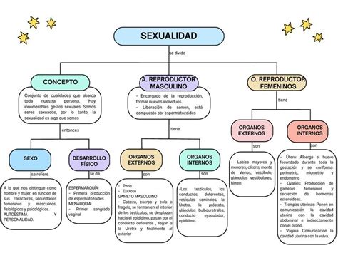 Mapa conceptual de términos relacionados con la diversidad sexual