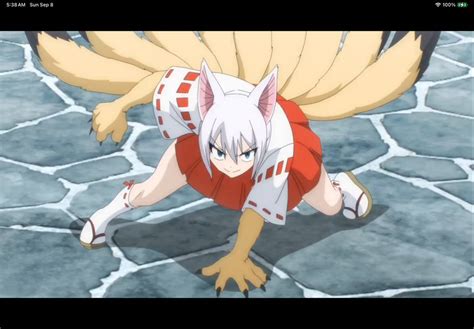 Lisanna en su forma Animal Soul: Gato