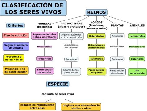 Mapa conceptual de los reinos y facciones en 