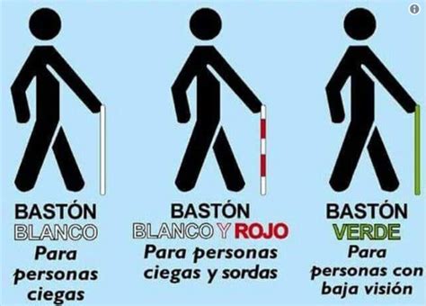Infografía comparativa de diferentes tipos de bastones de artes marciales